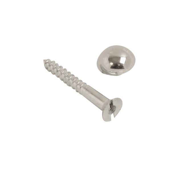 Mirror Screw & Dome Chrome
