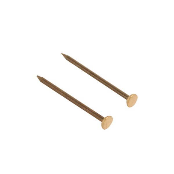 Picture Pin Brass Head 25mm