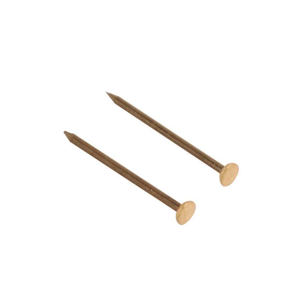 Picture Pins Brass Head 25mm (Retail Pack of 50)